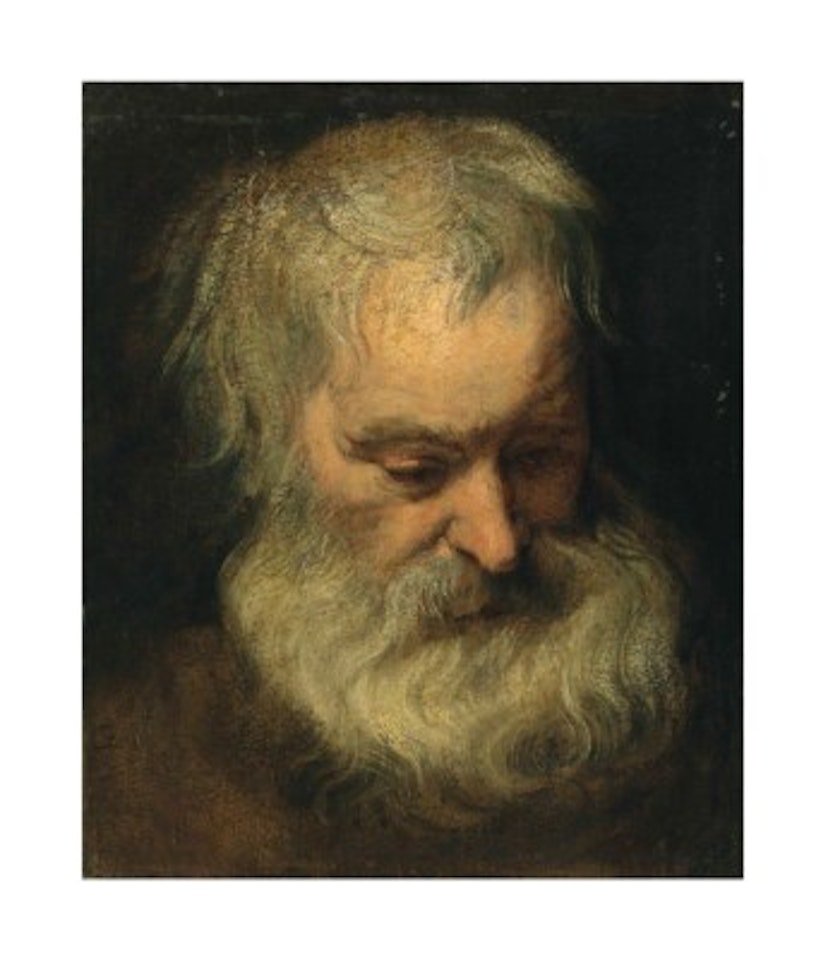 Head study of a bearded man by Anthony van Dyck