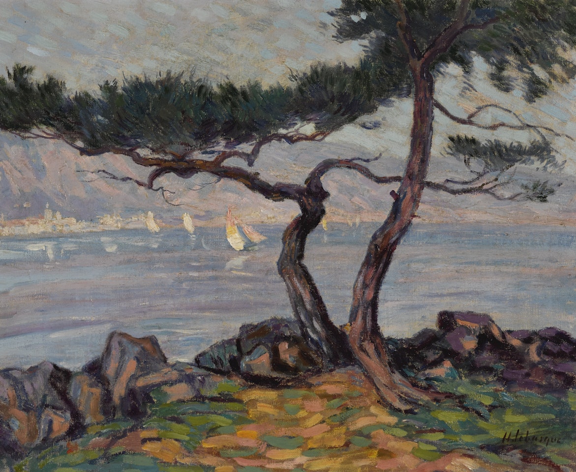 PINS AU BORD DE LA MER by Henri Lebasque