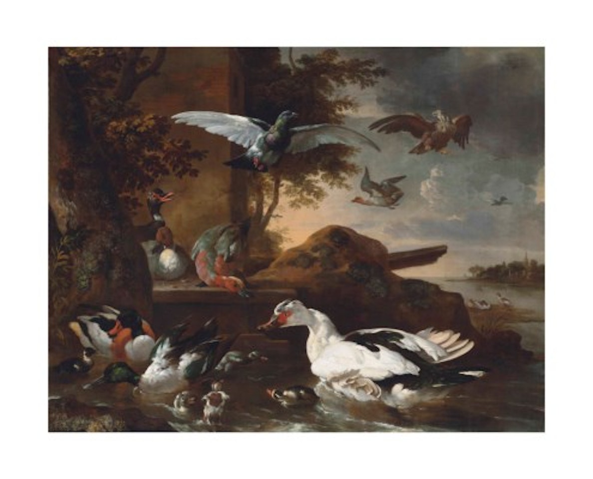 A shoveler, a Muscovy duck and other birds by a river by Melchior de Hondecoeter