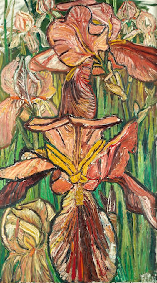 Red and yellow butterfly irises by John Bratby