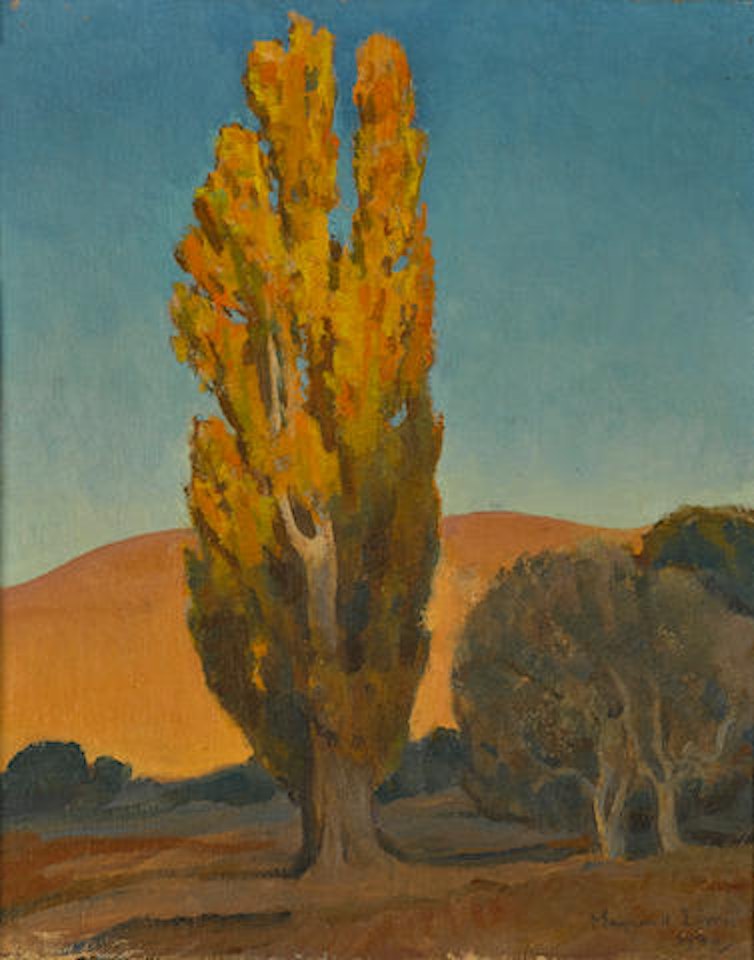 Shifting light on a poplar by Maynard Dixon