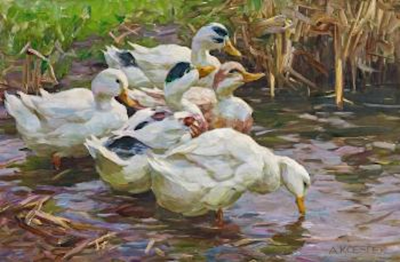 Trinkende Enten (Drinking Ducks). Five Ducks in the Reeds by Alexander Koester