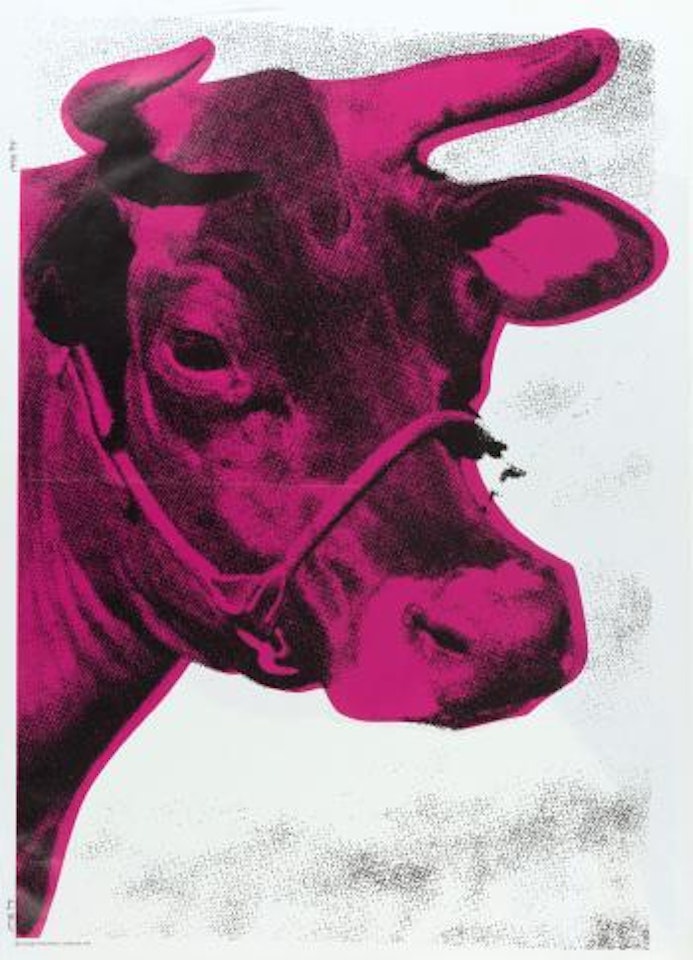 Two-sided proof: cow (wallpapaer, La Biennale) by Andy Warhol