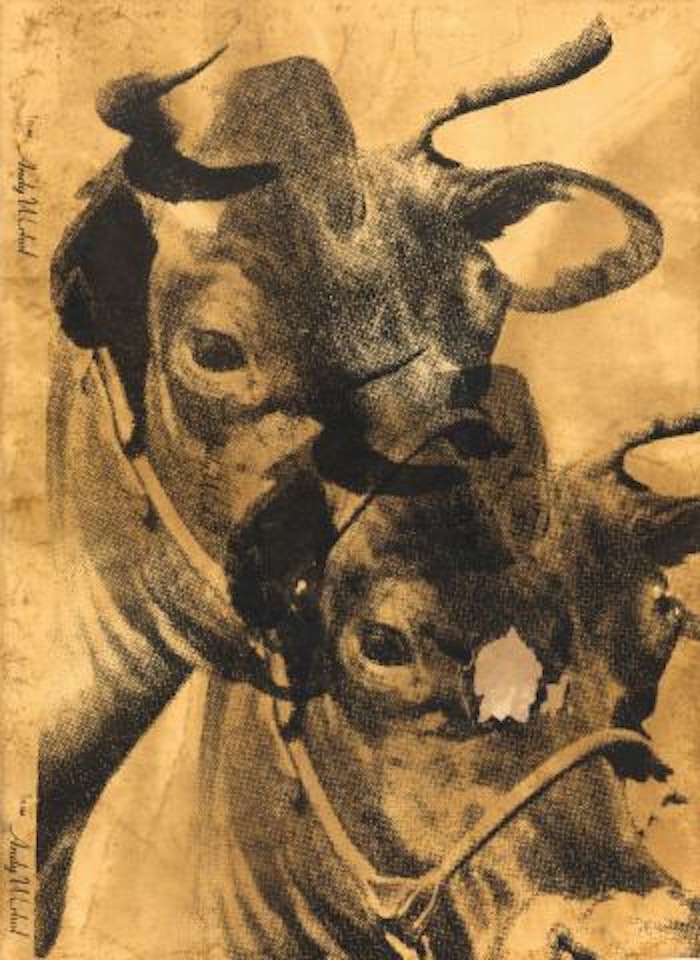 Cow wallpaper by Andy Warhol