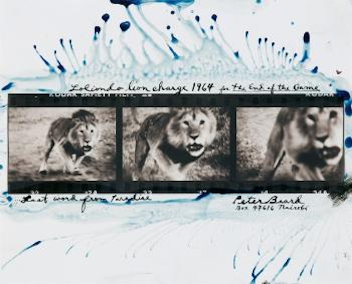 Loliondo lion charge (from the series: The end of the game) by Peter Beard
