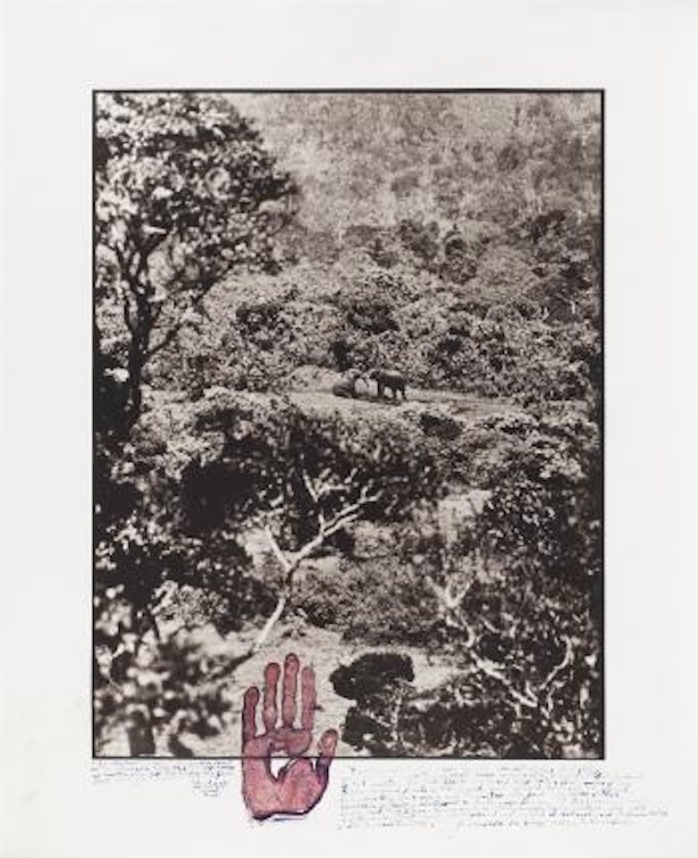 Elephant tussle in the Aberdare forest (from the series: The end of the game/Last word from paradise) by Peter Beard