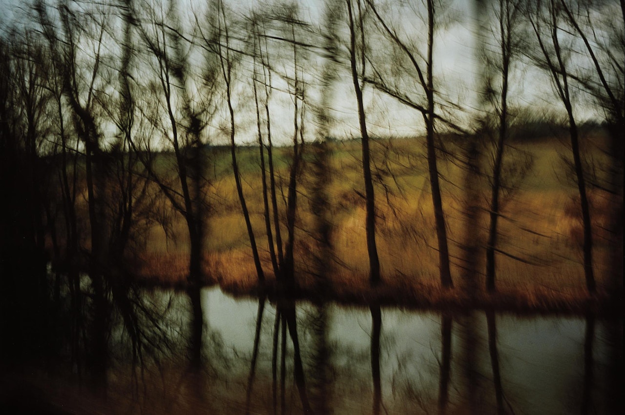 Trees by the River, Munich by Nan Goldin