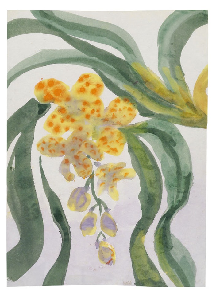Orchideenzweig by Emil Nolde