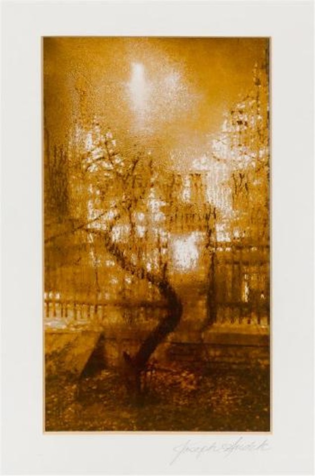 Untitled by Josef Sudek