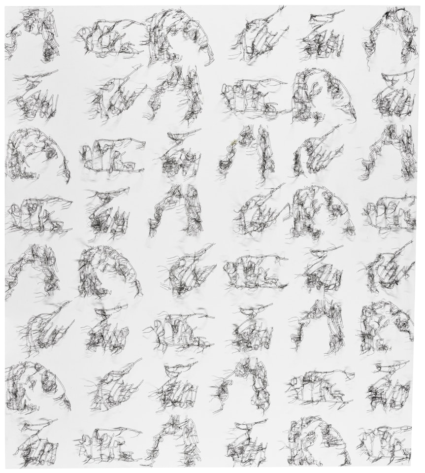 BLANC/NOIR/DIANE'S REVENGE by Ghada Amer