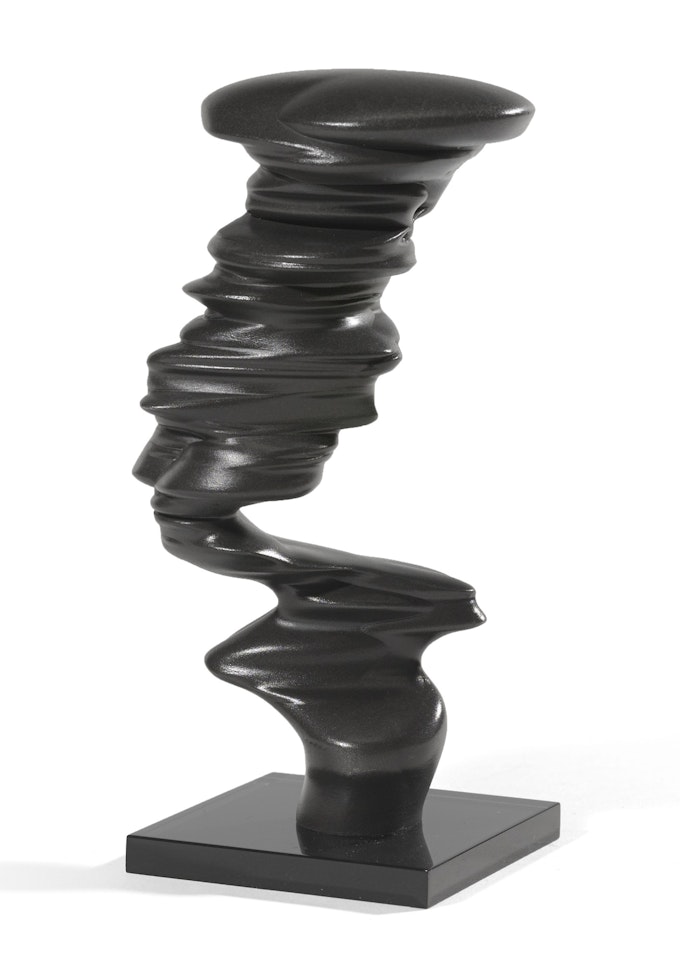 BUST by Tony Cragg