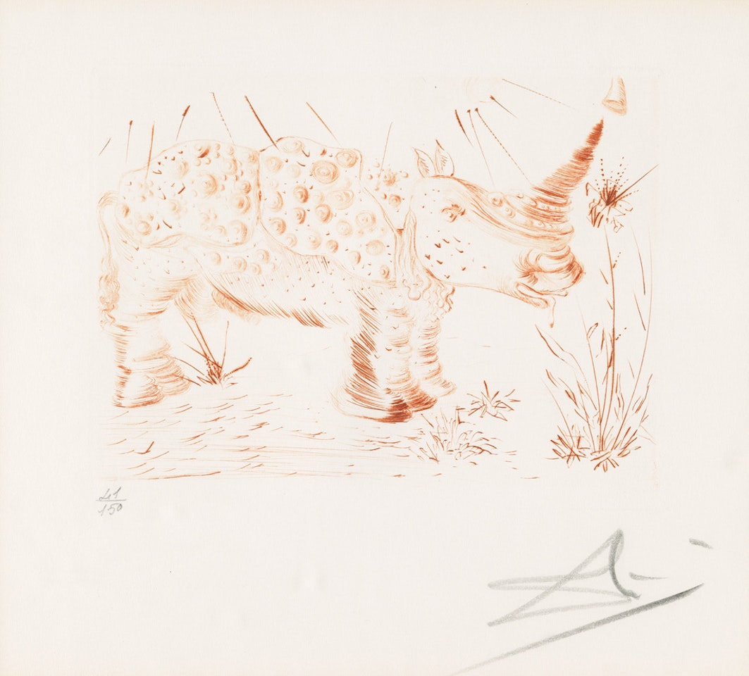 Rhinocéros by Salvador Dali