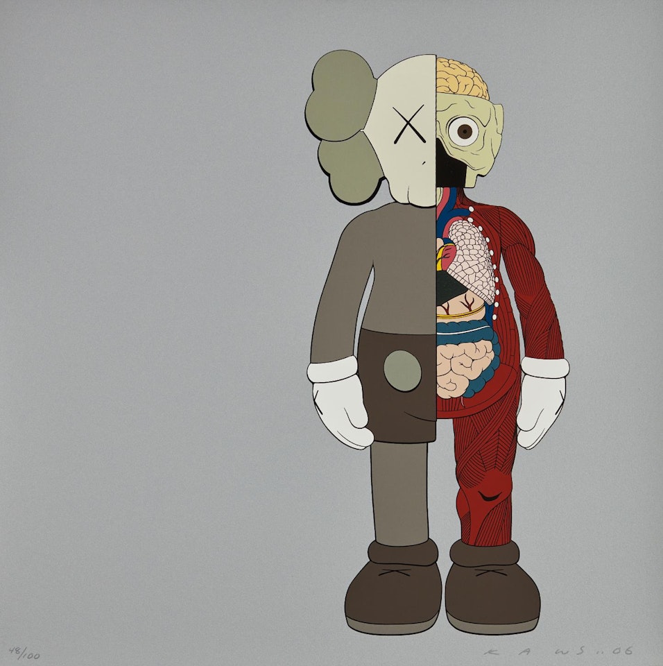 Dissected Companion by Kaws