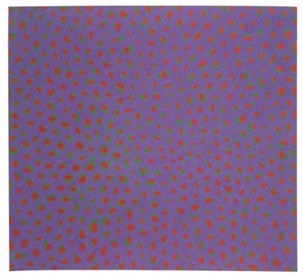 An Island (13) by Yayoi Kusama