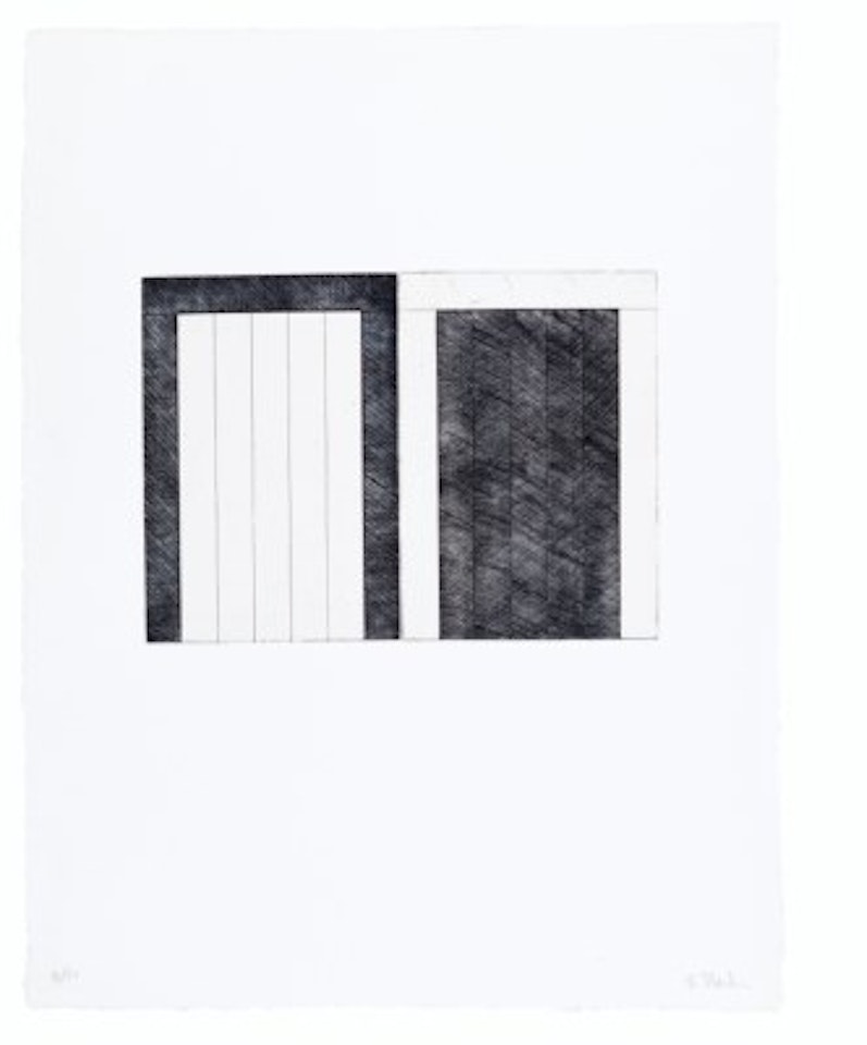 12 Views for Caroline Tatyana by Brice Marden