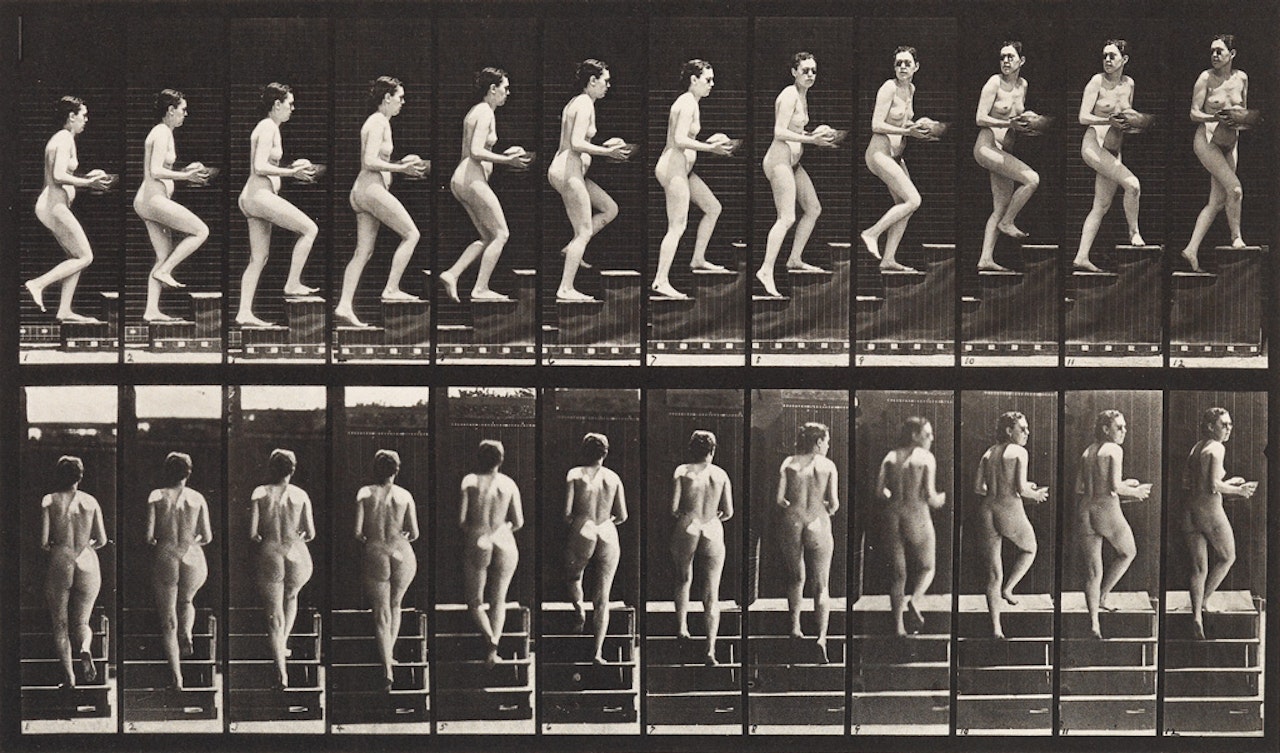 A Selection Of 3 Plates From Animal Locomotion by Eadweard Muybridge
