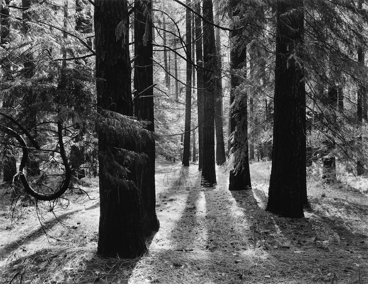 Yosemite And The Range Of Light by Ansel Adams