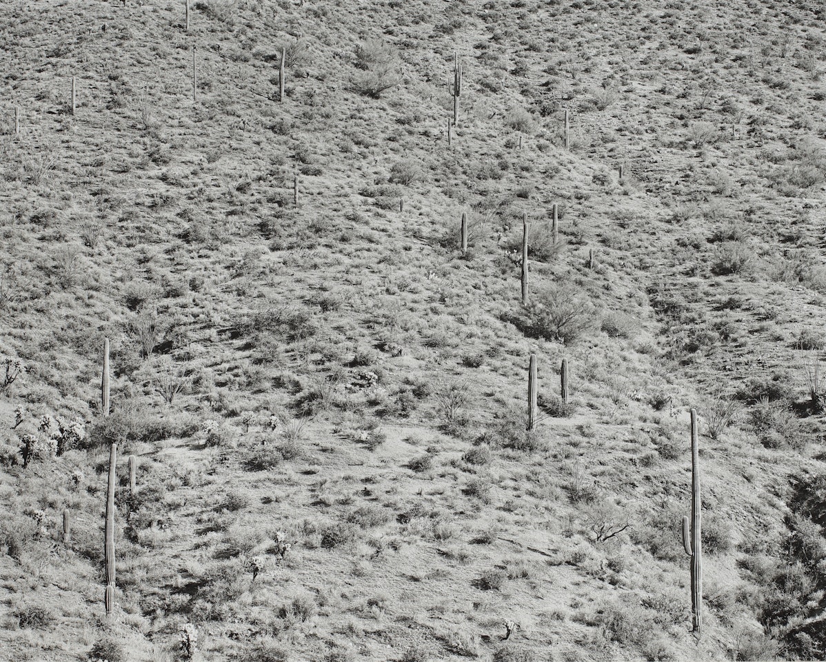 ARIZONA LANDSCAPE' by Frederick Sommer