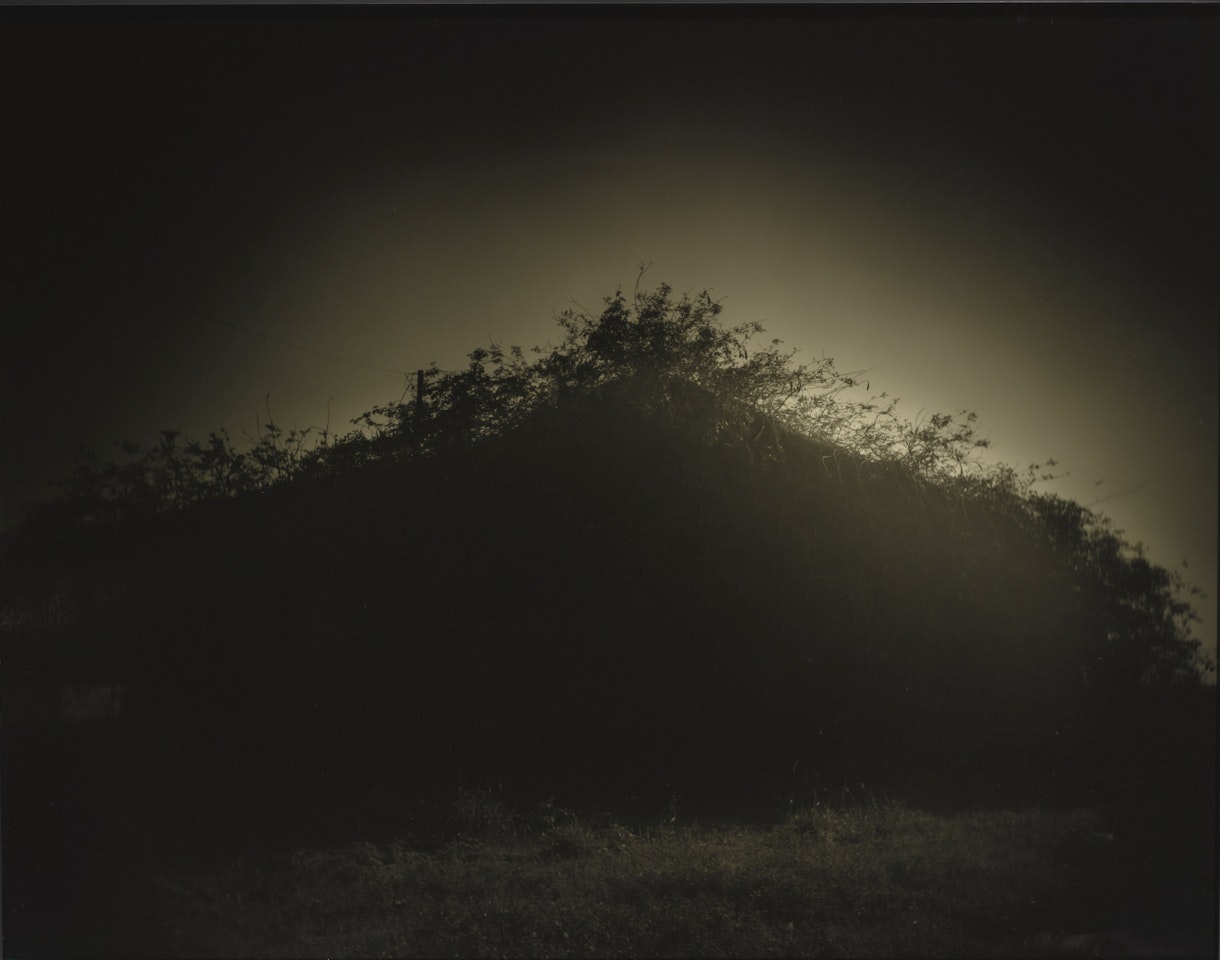UNTITLED (DEEP SOUTH #39) by Sally Mann