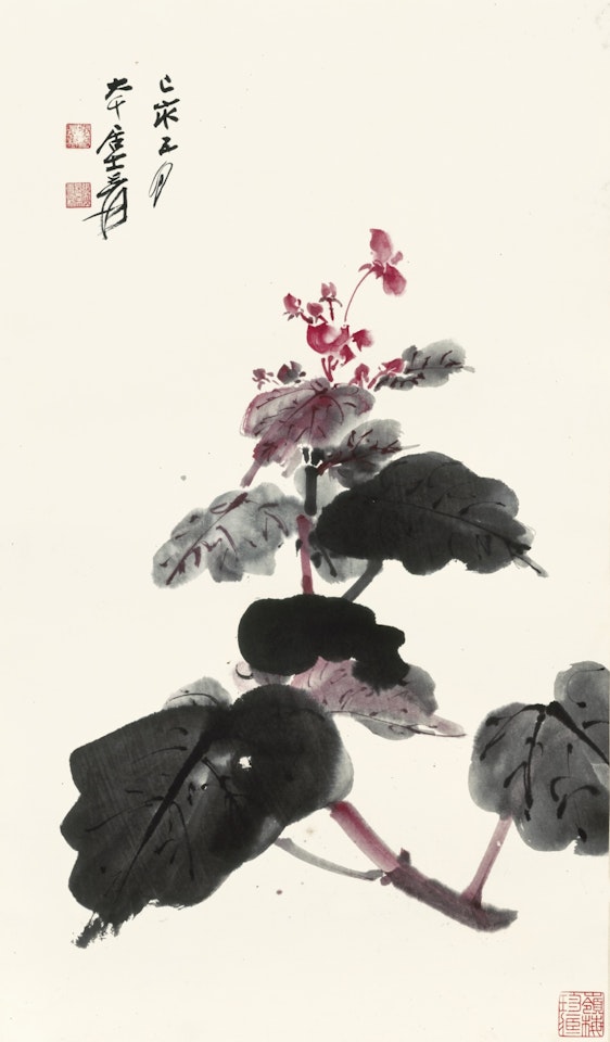BEGONIA by Zhang Daqian