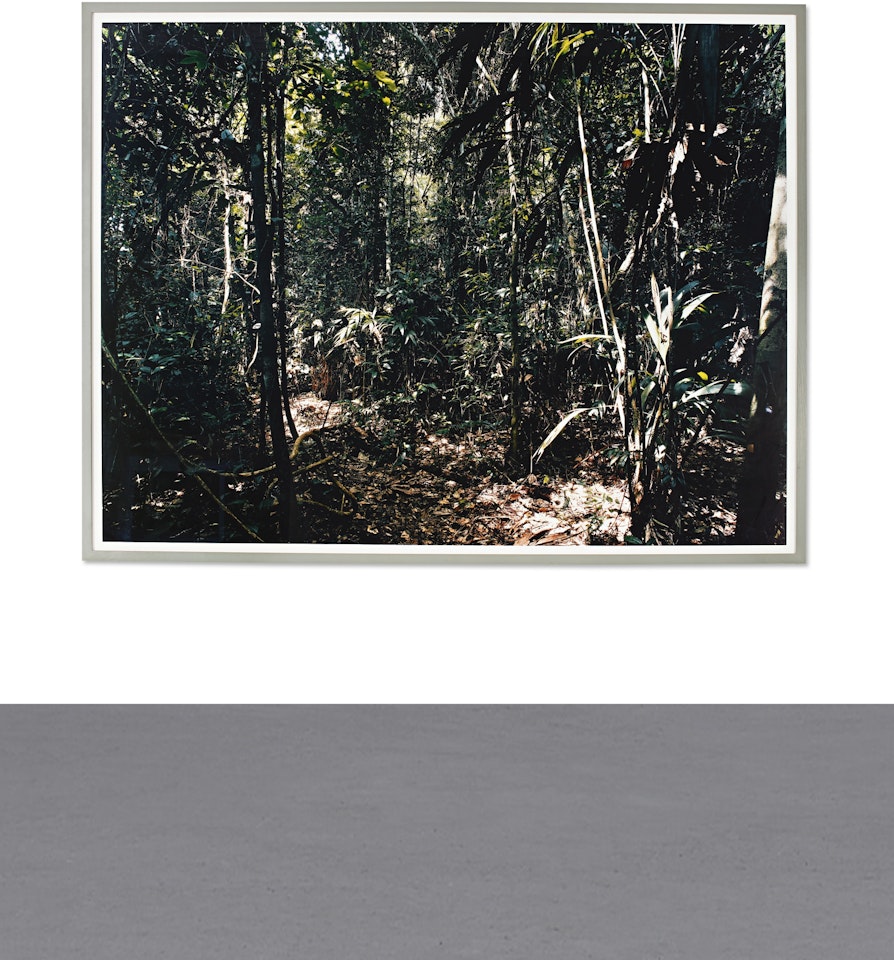 PARADISE 27, RÍO MADRE DE DIOS, PERÚ by Thomas Struth