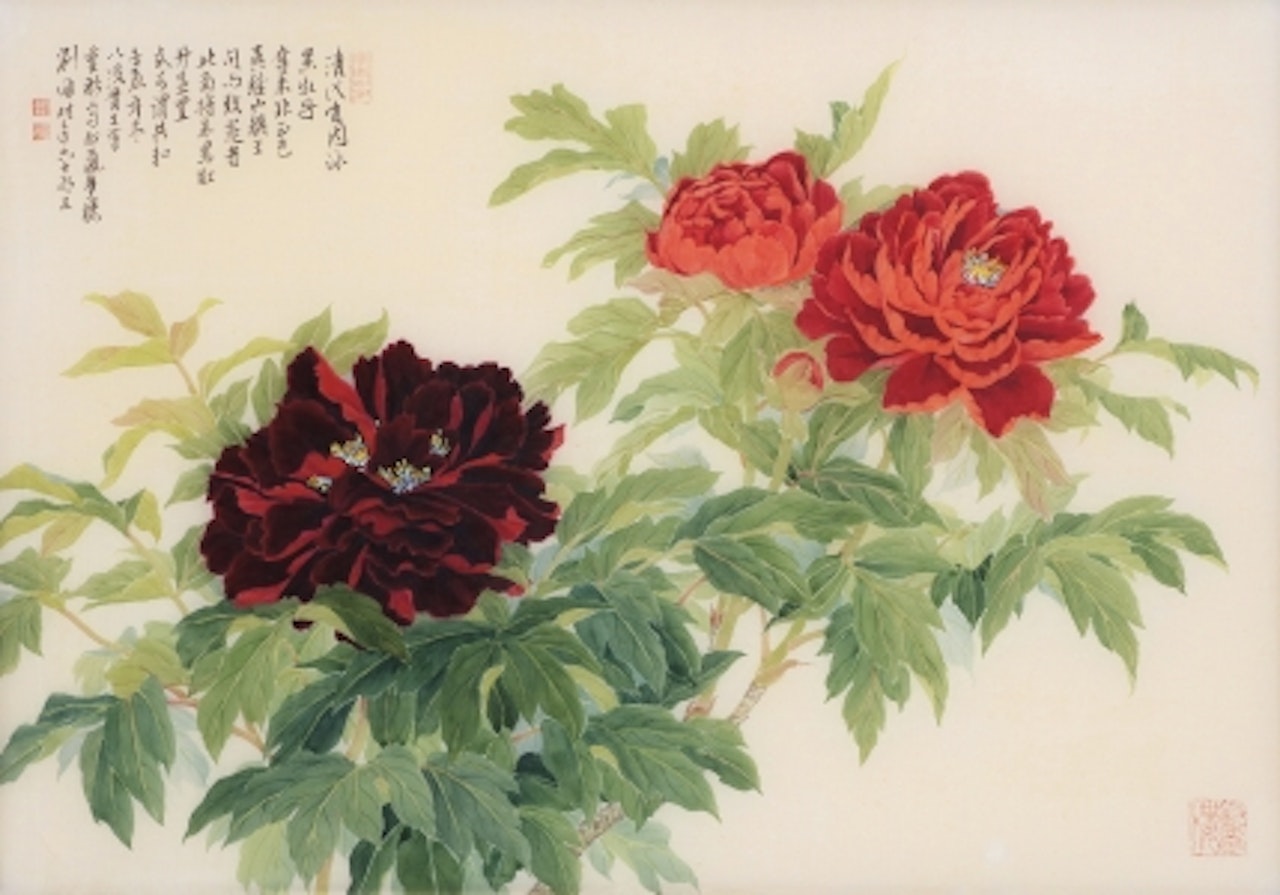 PEONY by Liu Yong