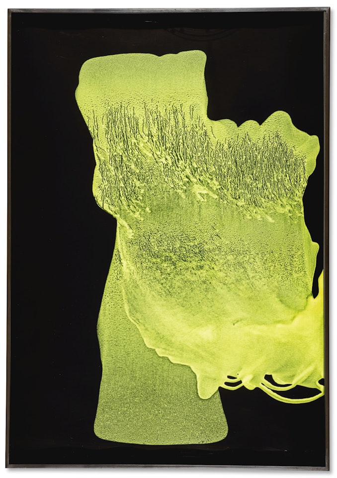 UNTITLED by Sigmar Polke