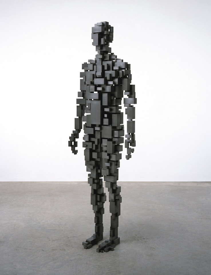 SUBLIMATE VI by Antony Gormley