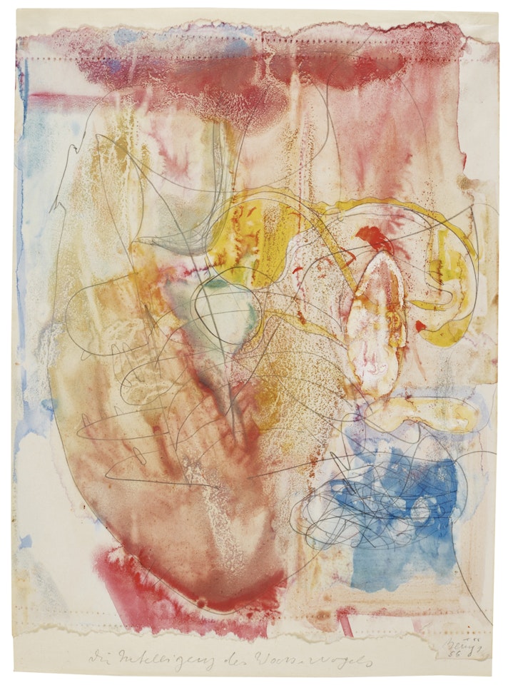 DIE INTELLIGENZ DES WASSERVOGELS (THE INTELLIGENCE OF THE WATER BIRD) by Joseph Beuys