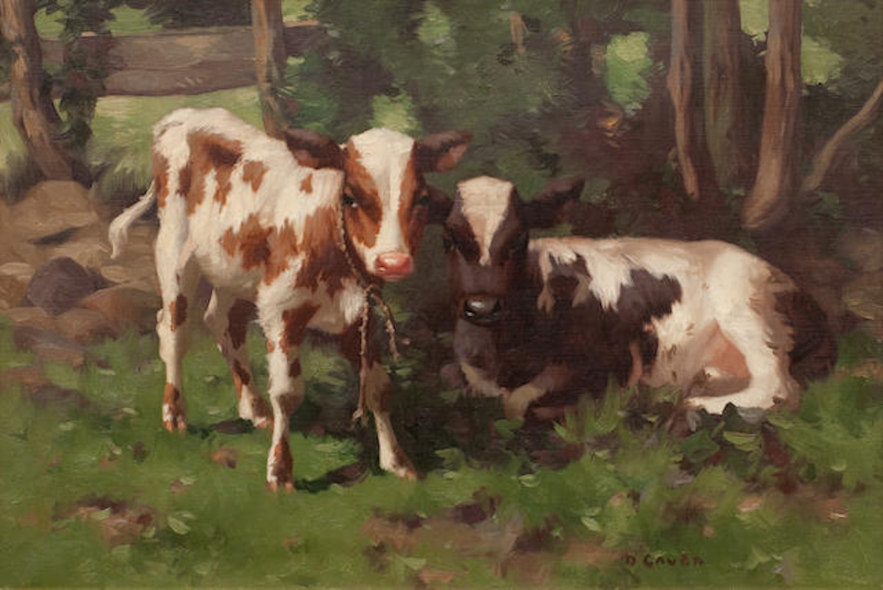 Two Calves by David Gauld