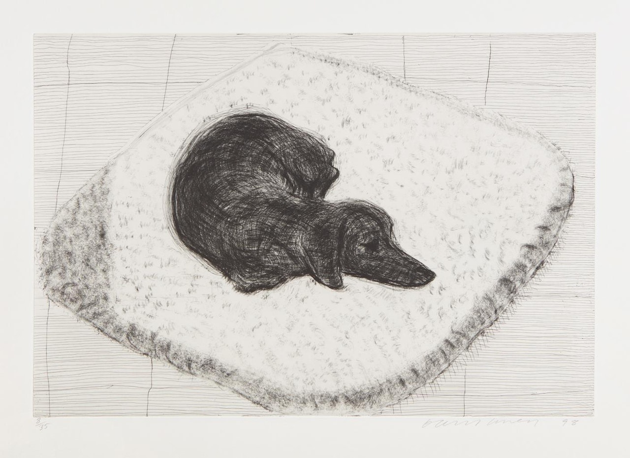 Dog Etching No. 12, from Dog Wall by David Hockney