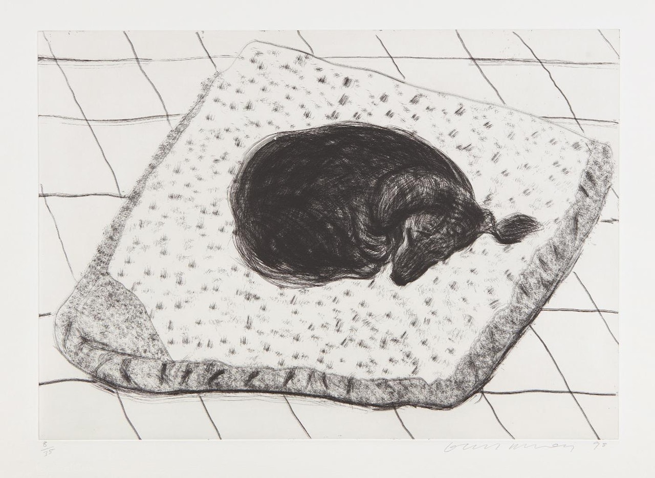 Dog Etching No. 15, from Dog Wall by David Hockney