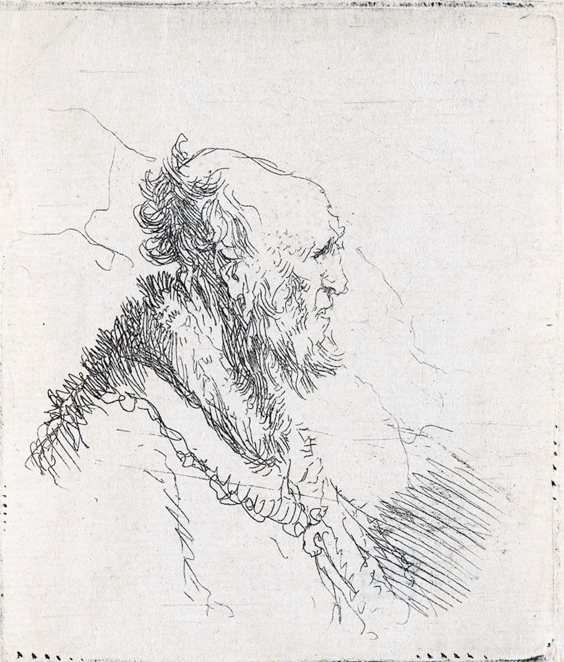 Bald Old Man With A Short Beard, In Profile Right by Attributed to Rembrandt Harmensz van Rijn