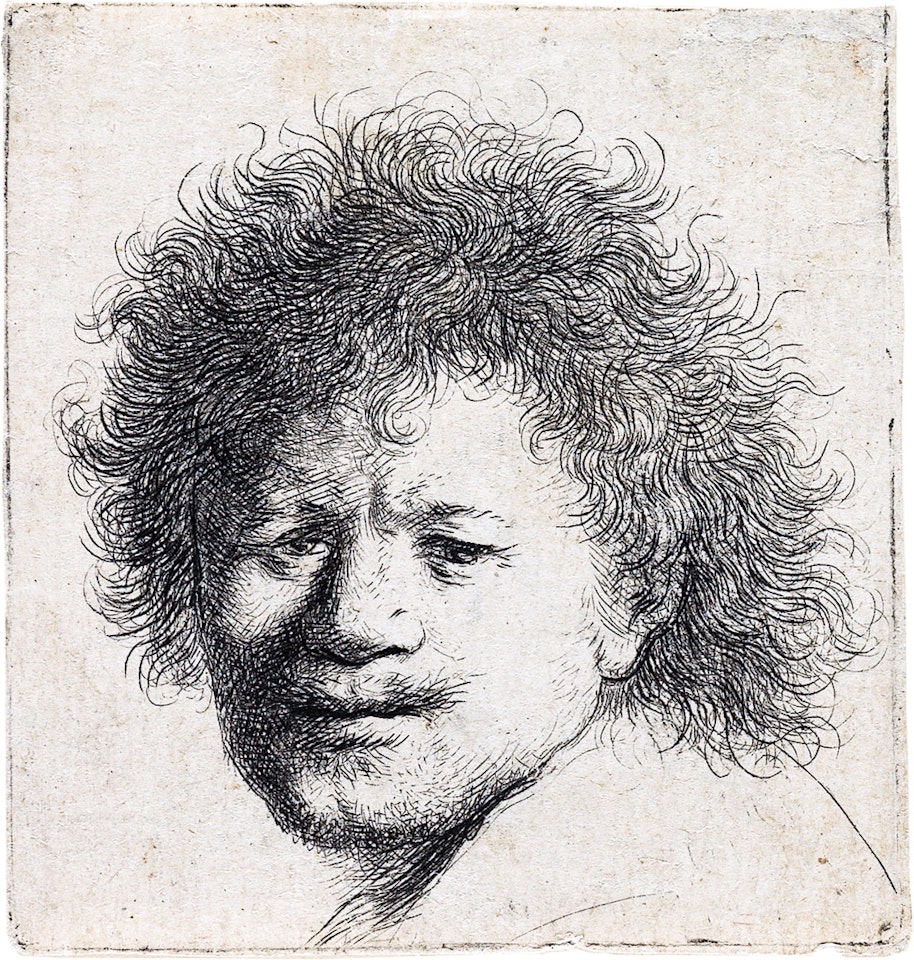 Self Portrait With Long, Bushy Hair: Head Only by Attributed to Rembrandt Harmensz van Rijn