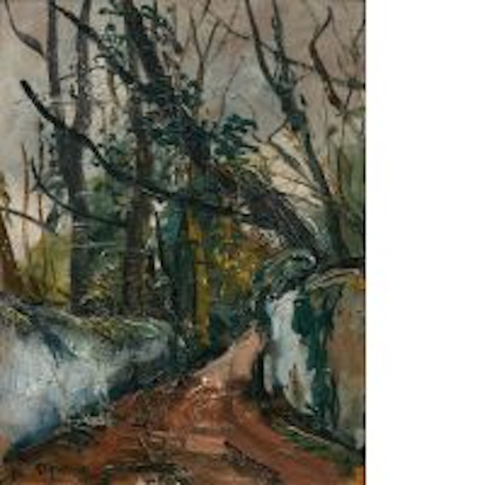 Path in the woods of Léman by Takanori Oguiss