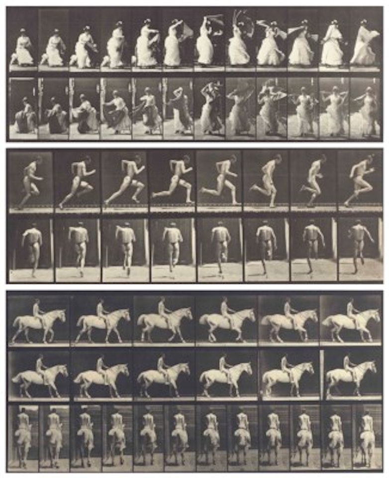 Animal Locomotion. An Electro-Photographic Investigation of Consecutive Phases of Animal Movement by Eadweard Muybridge