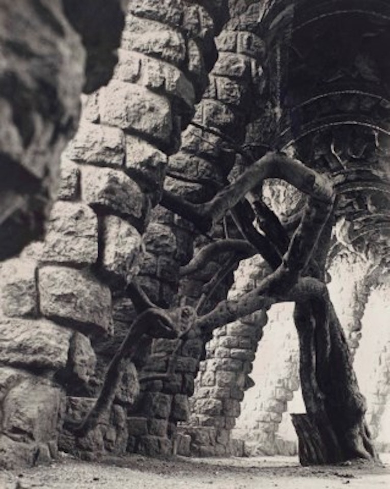 La Super Névrose Mammouth by Man Ray