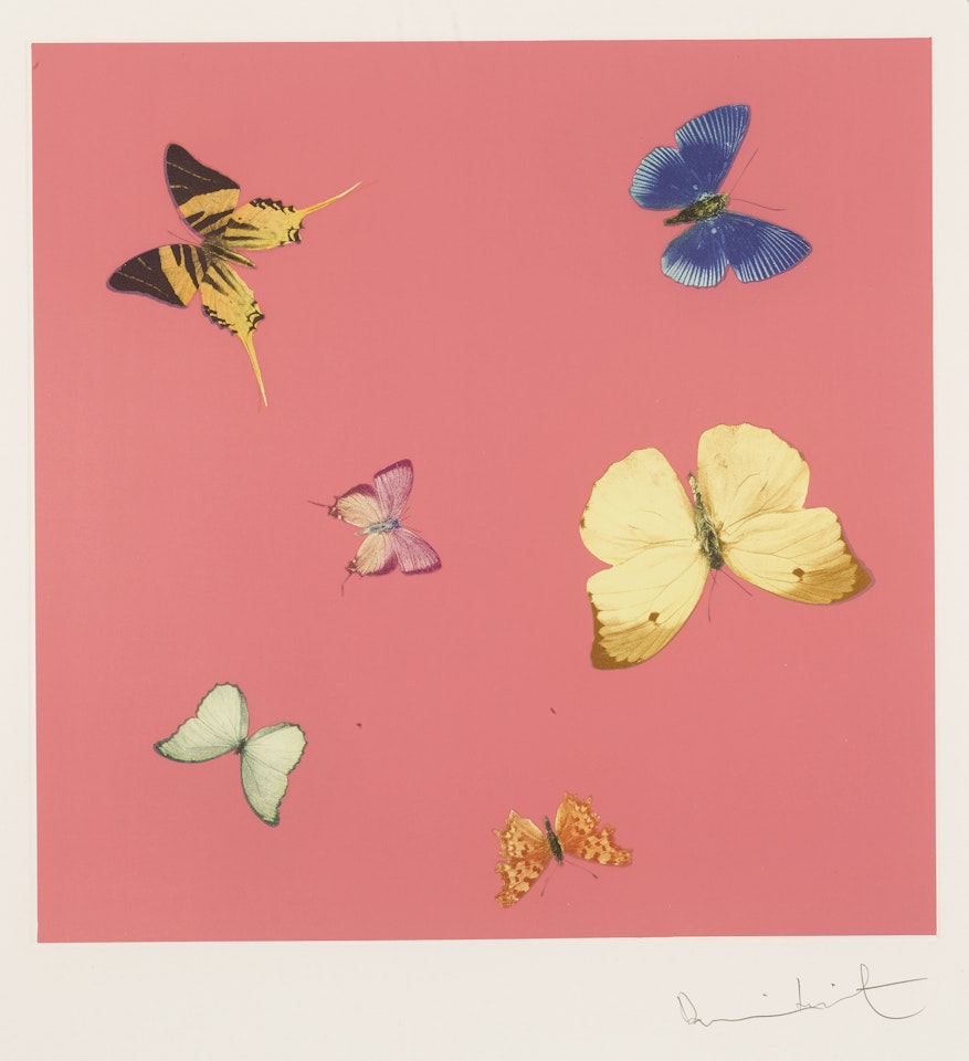 LULLABY by Damien Hirst