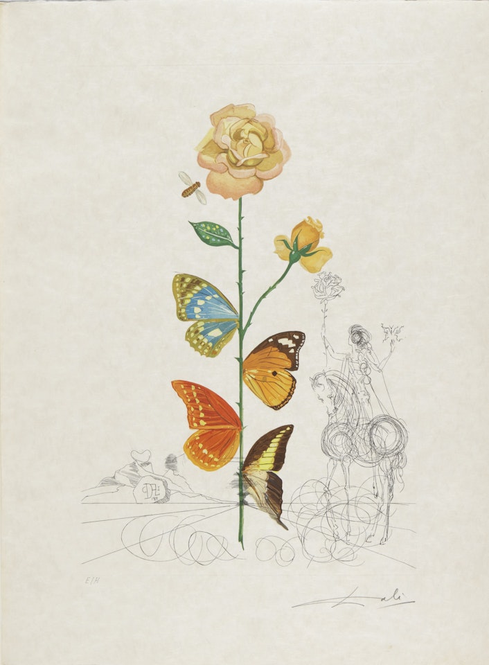 FLORA DALINAE (MICHLER & LÖPSINGER 227-236; FIELD 68-3 A-J) by Salvador Dali
