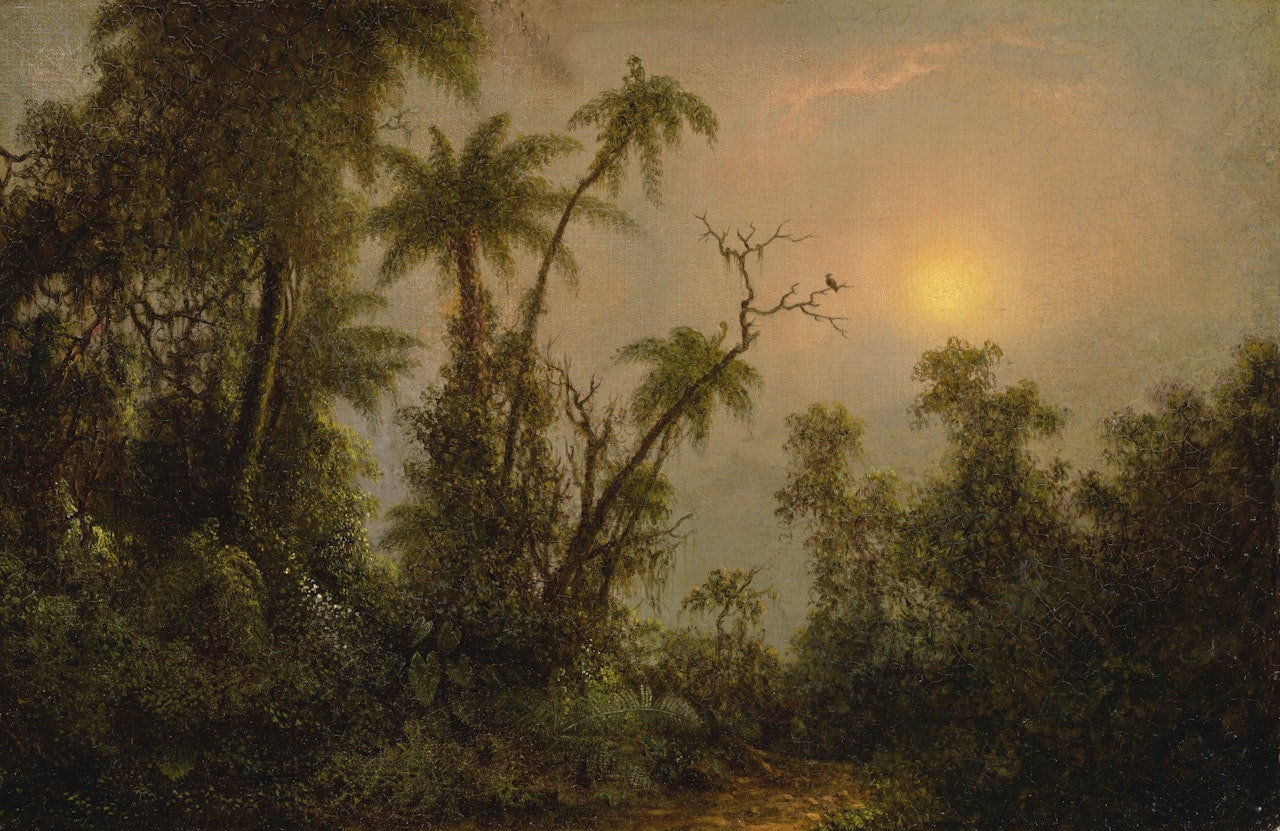 TROPICAL FOREST SCENE by Martin Johnson Heade