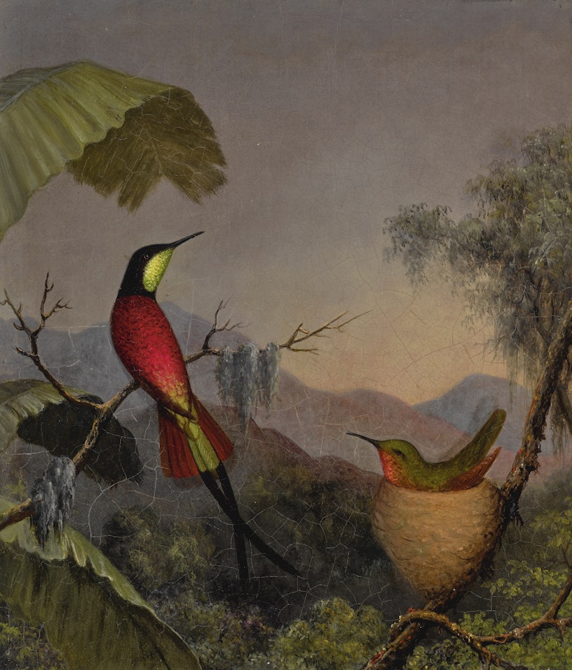 "CRIMSON TOPAZ" HUMMINGBIRDS NESTING NEAR A PALM TREE by Martin Johnson Heade