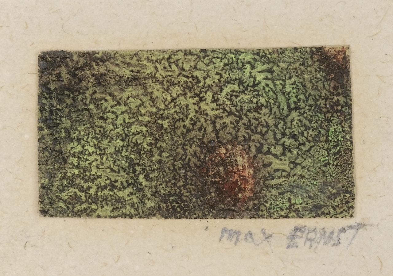 PAYSAGE IMMACULÉ by Max Ernst