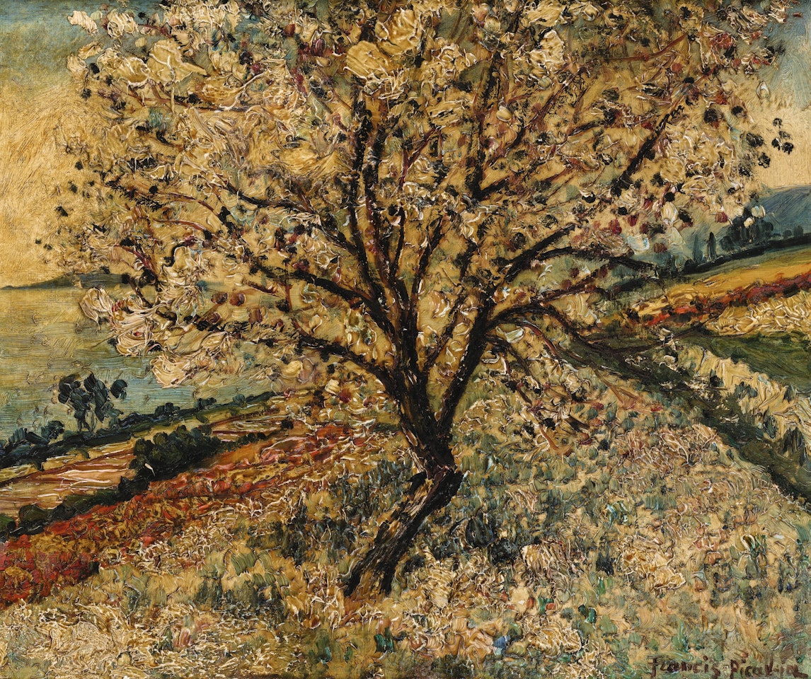 SANS TITRE by Francis Picabia
