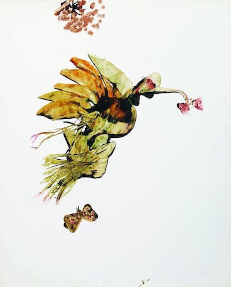 Bird by Sidney Nolan