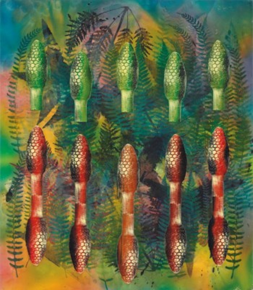 Sphenopsida by Philip Taaffe