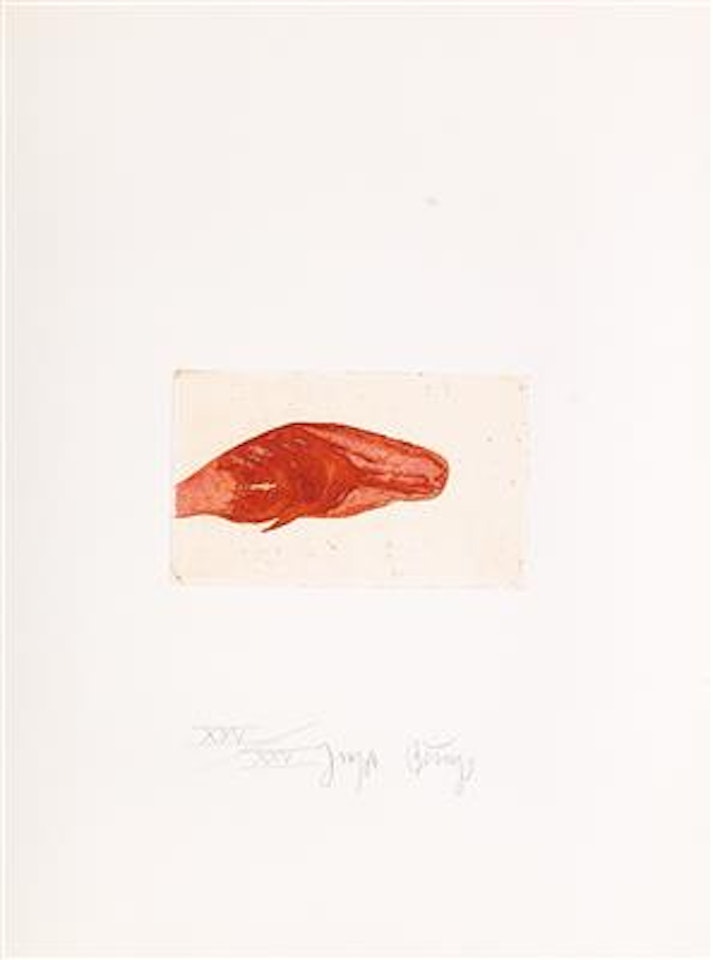 Meerengel Sperm-Wal by Joseph Beuys