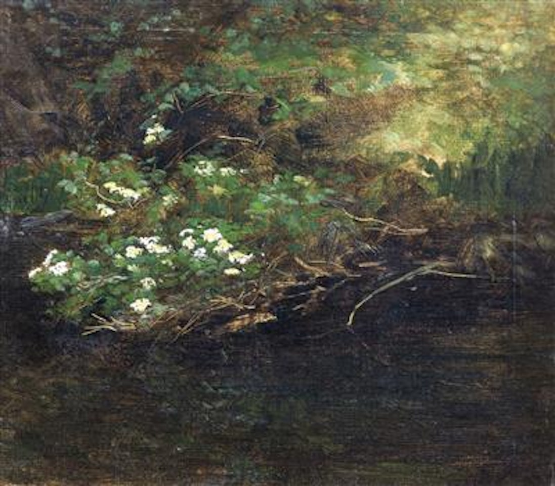 Riverside with flowers by Olga Wisinger-Florian