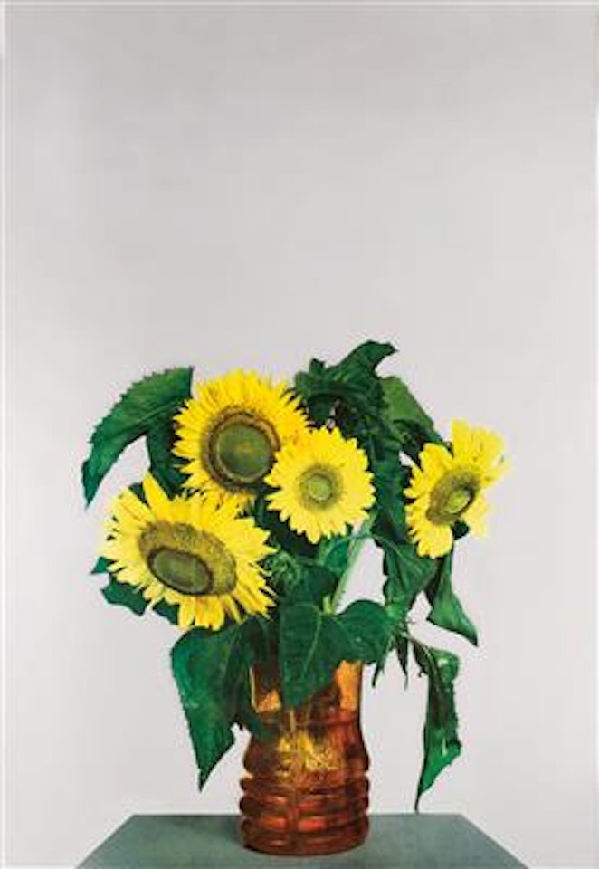 Girasoli by Michelangelo Pistoletto