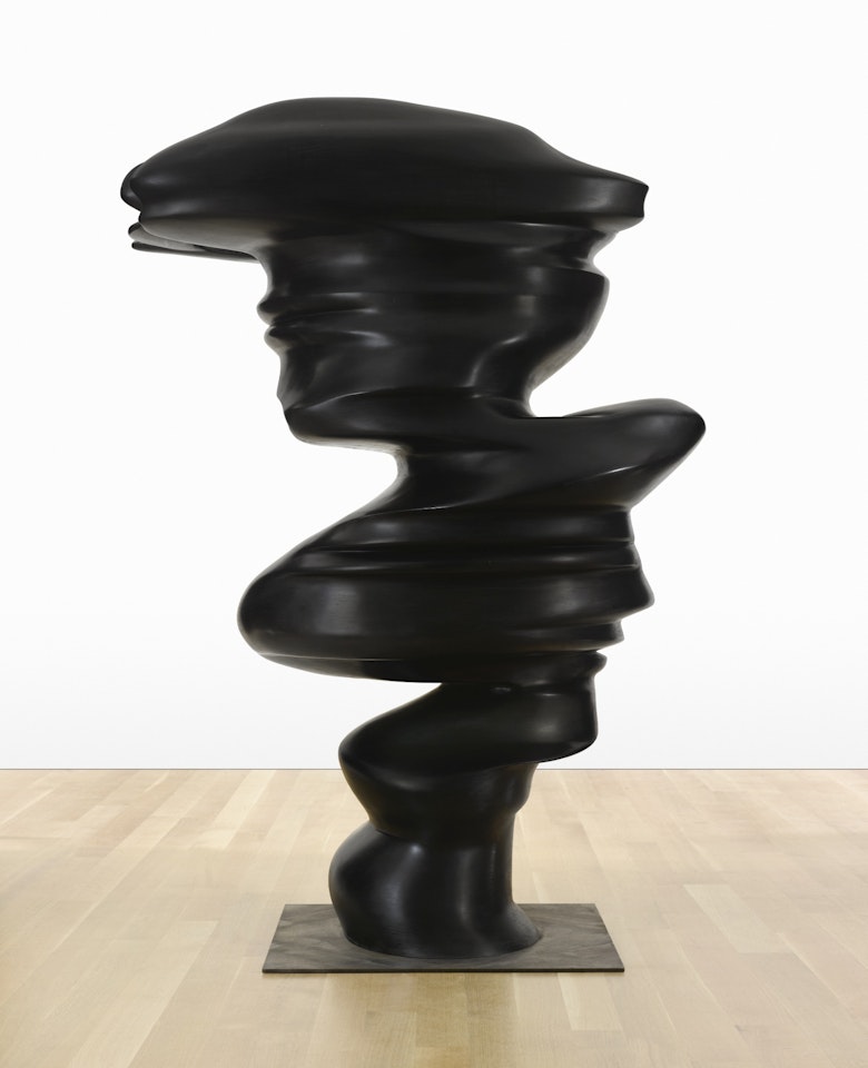 LEVEL HEAD by Tony Cragg