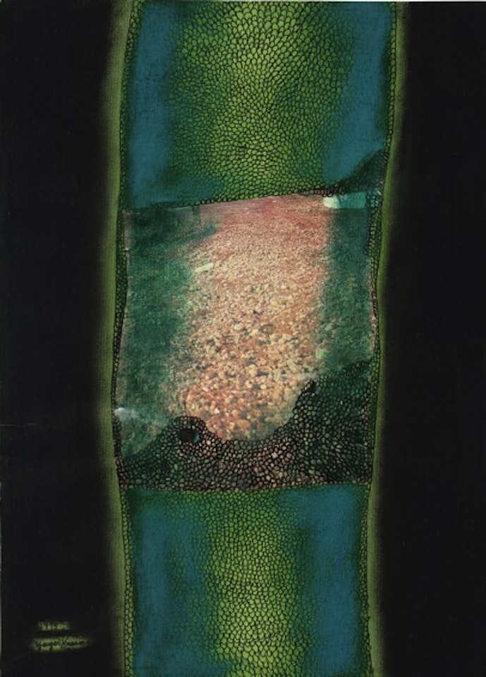 ASA NI AKERU MICHI (ROAD THAT AWAKENS AT DAWN) by Yayoi Kusama